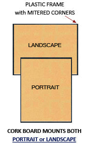 Plastic Framed Cork Board 22" x 28" Bulletin Board