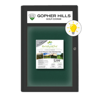 Extra Large Indoor Enclosed Bulletin Board Swing Cases 24 x 48 with Header and Lights (Radius Edge)