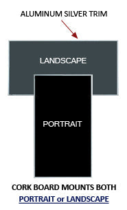 Vinyl over Cork Bulletin Board 24x48 (Open Face with Silver Trim)